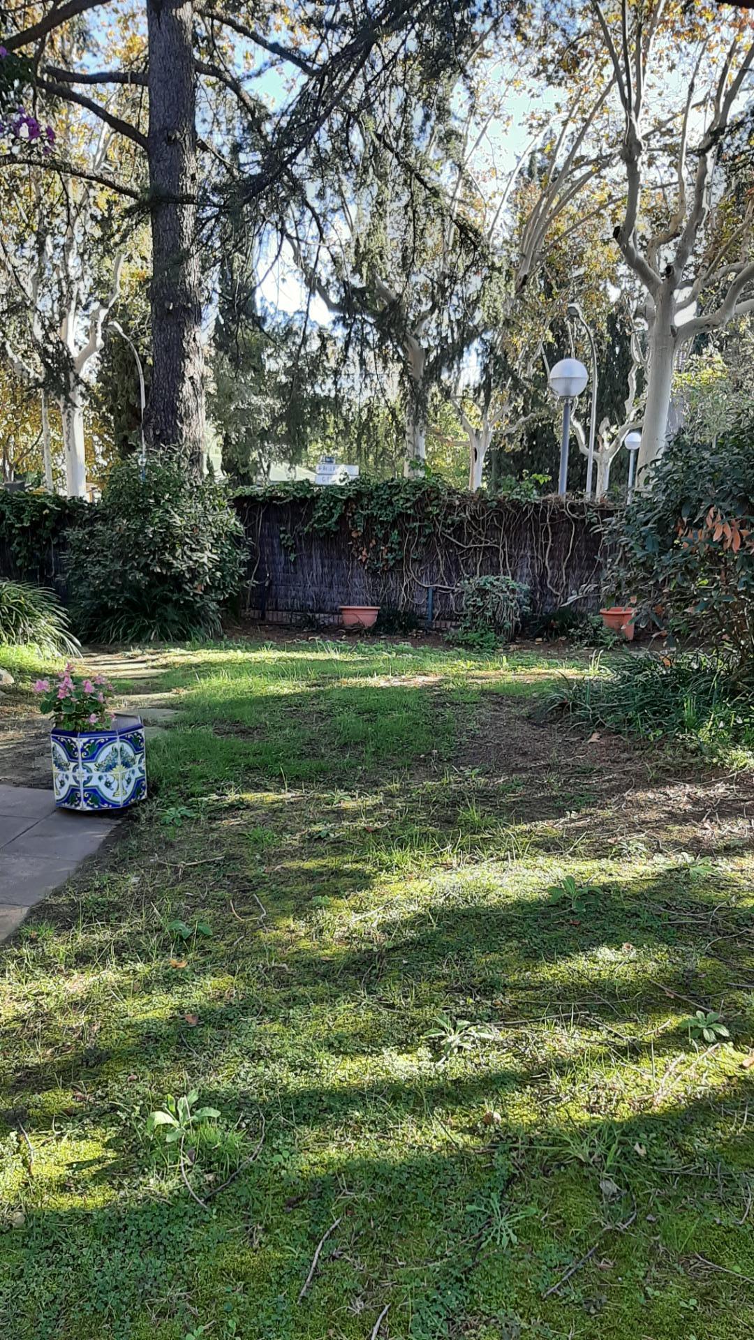 Exclusiva casa en Pedralbes con jardín privado y distribución funcional foto 5