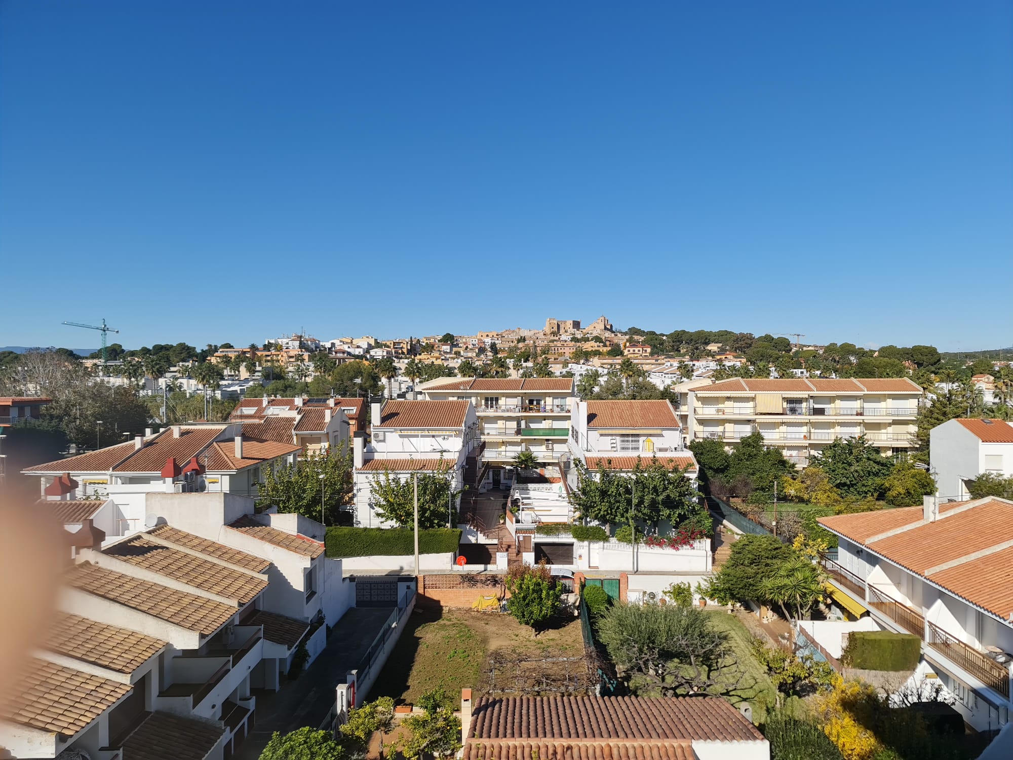 WhatsApp Image 2025-12-01 at 125143