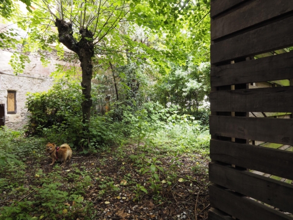 For sale Building with 0.00m2, in Olot