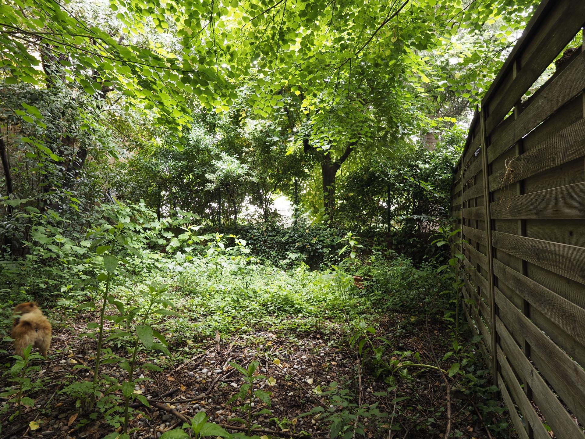 For sale Building with 0.00m2, in Olot